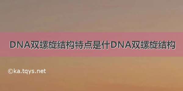 DNA双螺旋结构特点是什DNA双螺旋结构