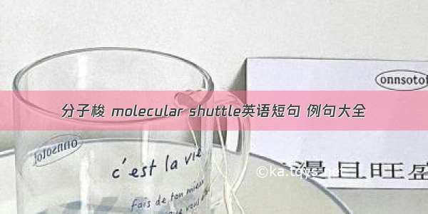 分子梭 molecular shuttle英语短句 例句大全