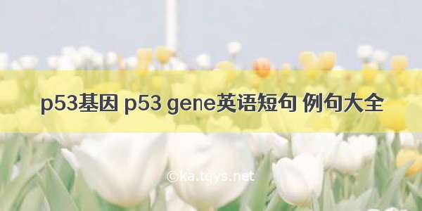 p53基因 p53 gene英语短句 例句大全