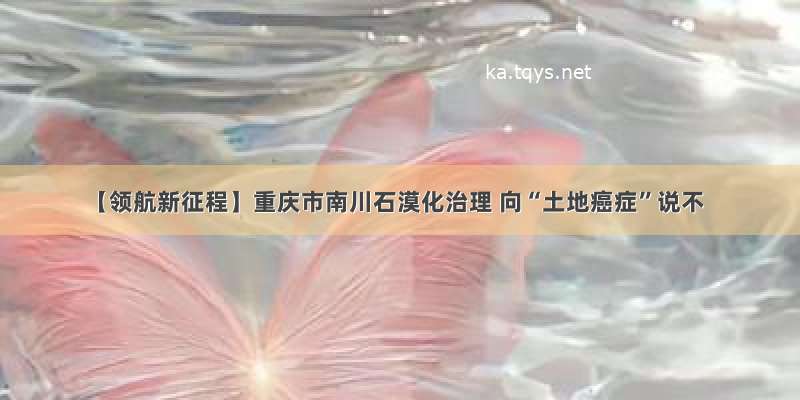 【领航新征程】重庆市南川石漠化治理 向“土地癌症”说不
