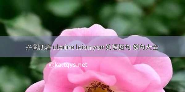 子官肌瘤 uterine leiomyom英语短句 例句大全