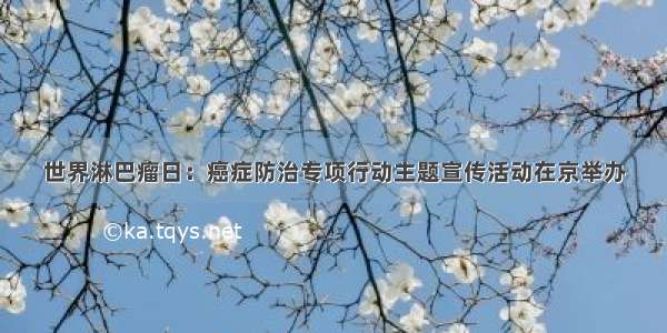 世界淋巴瘤日：癌症防治专项行动主题宣传活动在京举办