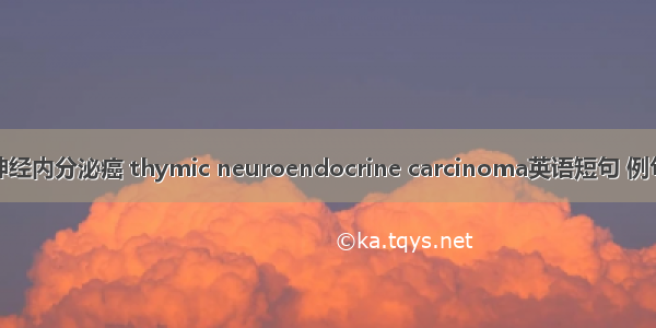 胸腺神经内分泌癌 thymic neuroendocrine carcinoma英语短句 例句大全