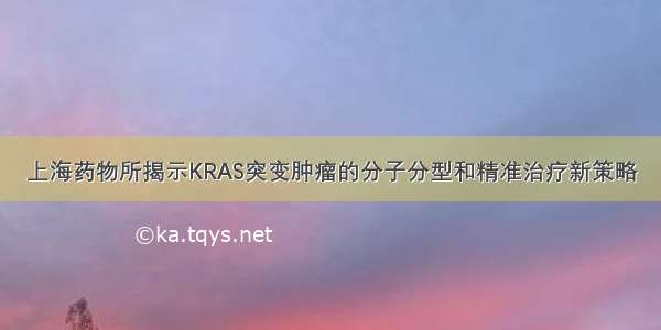 上海药物所揭示KRAS突变肿瘤的分子分型和精准治疗新策略
