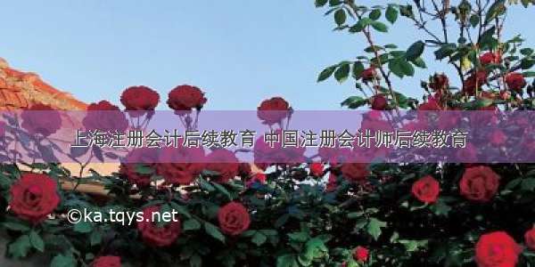 上海注册会计后续教育 中国注册会计师后续教育