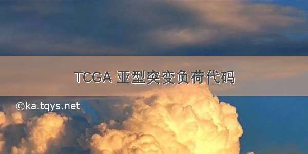 TCGA 亚型突变负荷代码