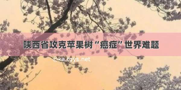 陕西省攻克苹果树“癌症”世界难题