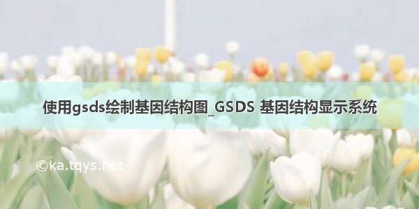 使用gsds绘制基因结构图_GSDS 基因结构显示系统