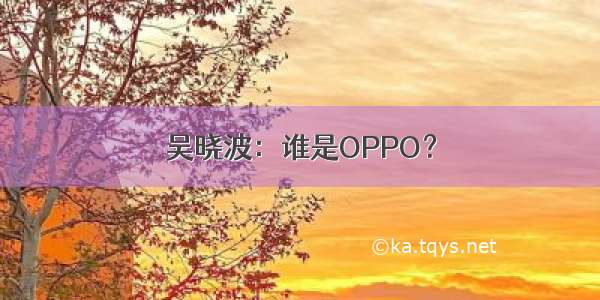 吴晓波：谁是OPPO？