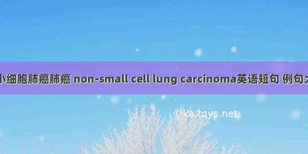 非小细胞肺癌肺癌 non-small cell lung carcinoma英语短句 例句大全