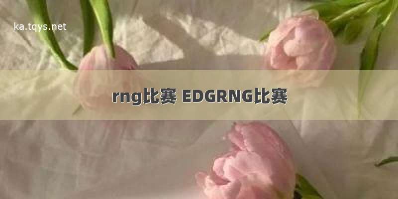 rng比赛 EDGRNG比赛