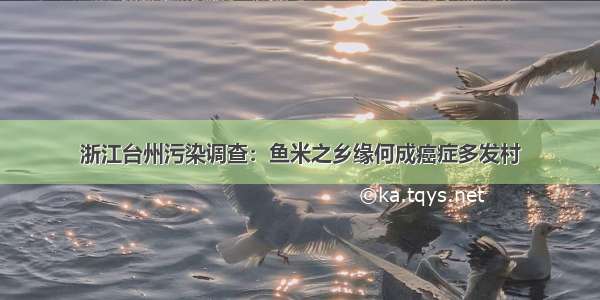 浙江台州污染调查：鱼米之乡缘何成癌症多发村