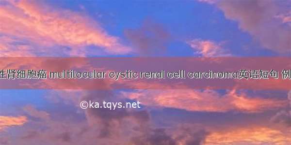 多房囊性肾细胞癌 multilocular cystic renal cell carcinoma英语短句 例句大全