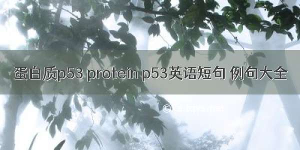 蛋白质p53 protein p53英语短句 例句大全