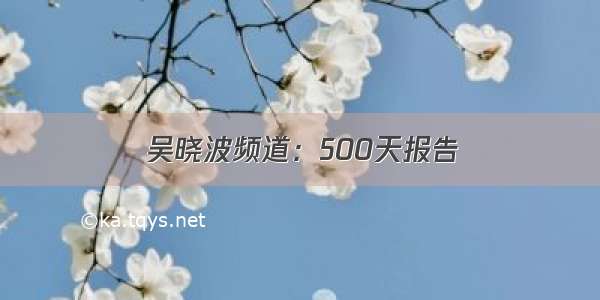吴晓波频道：500天报告