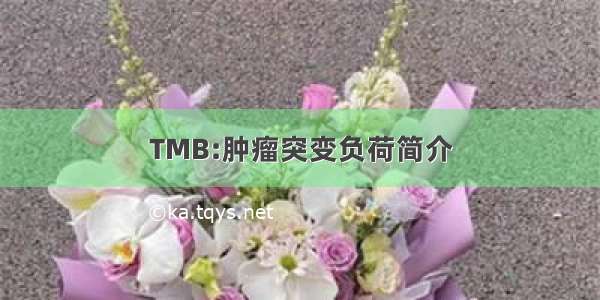 TMB:肿瘤突变负荷简介