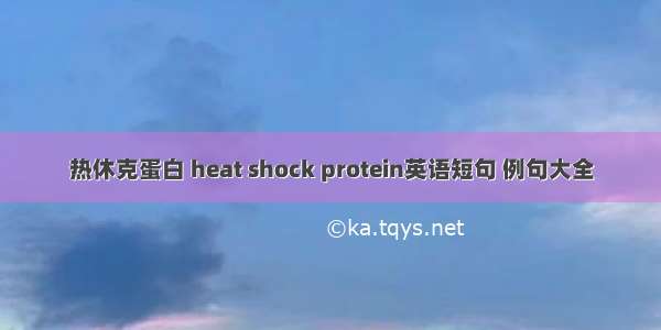 热休克蛋白 heat shock protein英语短句 例句大全