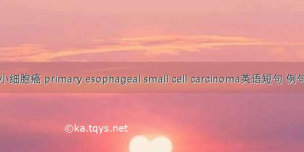 食管小细胞癌 primary esophageal small cell carcinoma英语短句 例句大全