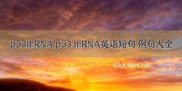 p53mRNA p53 mRNA英语短句 例句大全