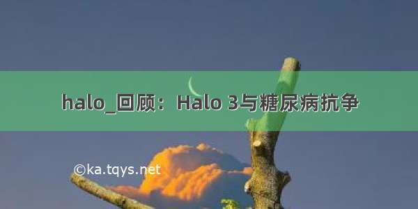 halo_回顾：Halo 3与糖尿病抗争
