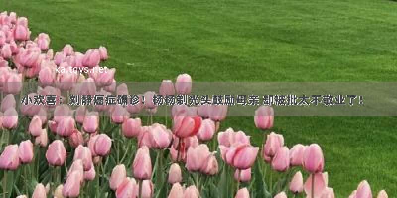 小欢喜：刘静癌症确诊！杨杨剃光头鼓励母亲 却被批太不敬业了！