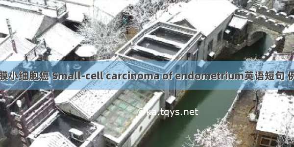 子宫内膜小细胞癌 Small-cell carcinoma of endometrium英语短句 例句大全