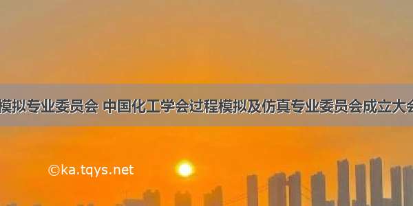 计算机模拟专业委员会 中国化工学会过程模拟及仿真专业委员会成立大会召开...