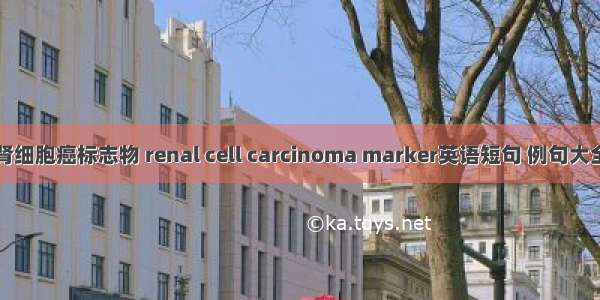 肾细胞癌标志物 renal cell carcinoma marker英语短句 例句大全