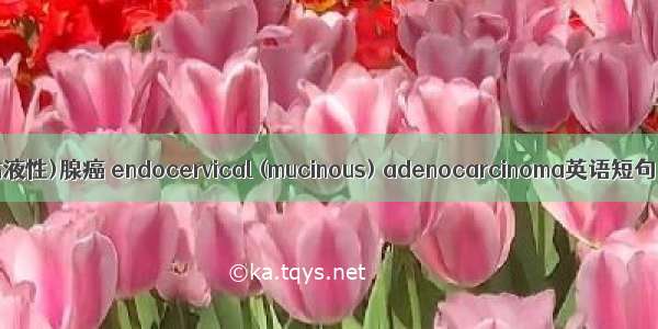 宫颈内膜(粘液性)腺癌 endocervical (mucinous) adenocarcinoma英语短句 例句大全
