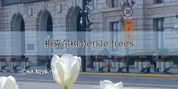 梅克尔树Merkle trees